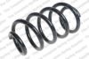 ROC CS8010 Coil Spring
